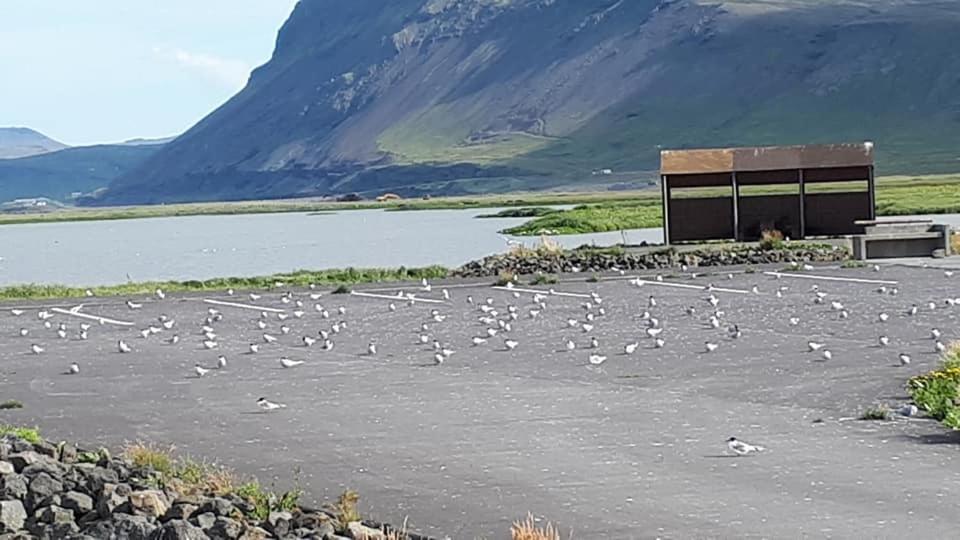 Bikers Paradise Ólafsvík Εξωτερικό φωτογραφία